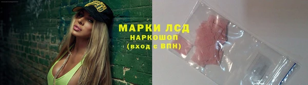 спайс Баксан